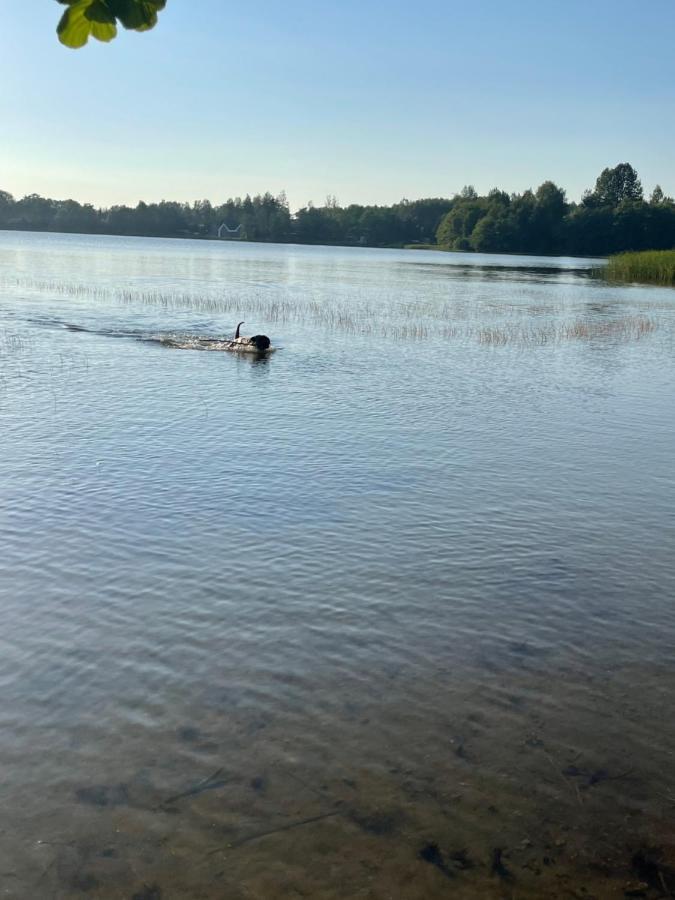 Woodhouse Resort Dobrogoszcz Kültér fotó